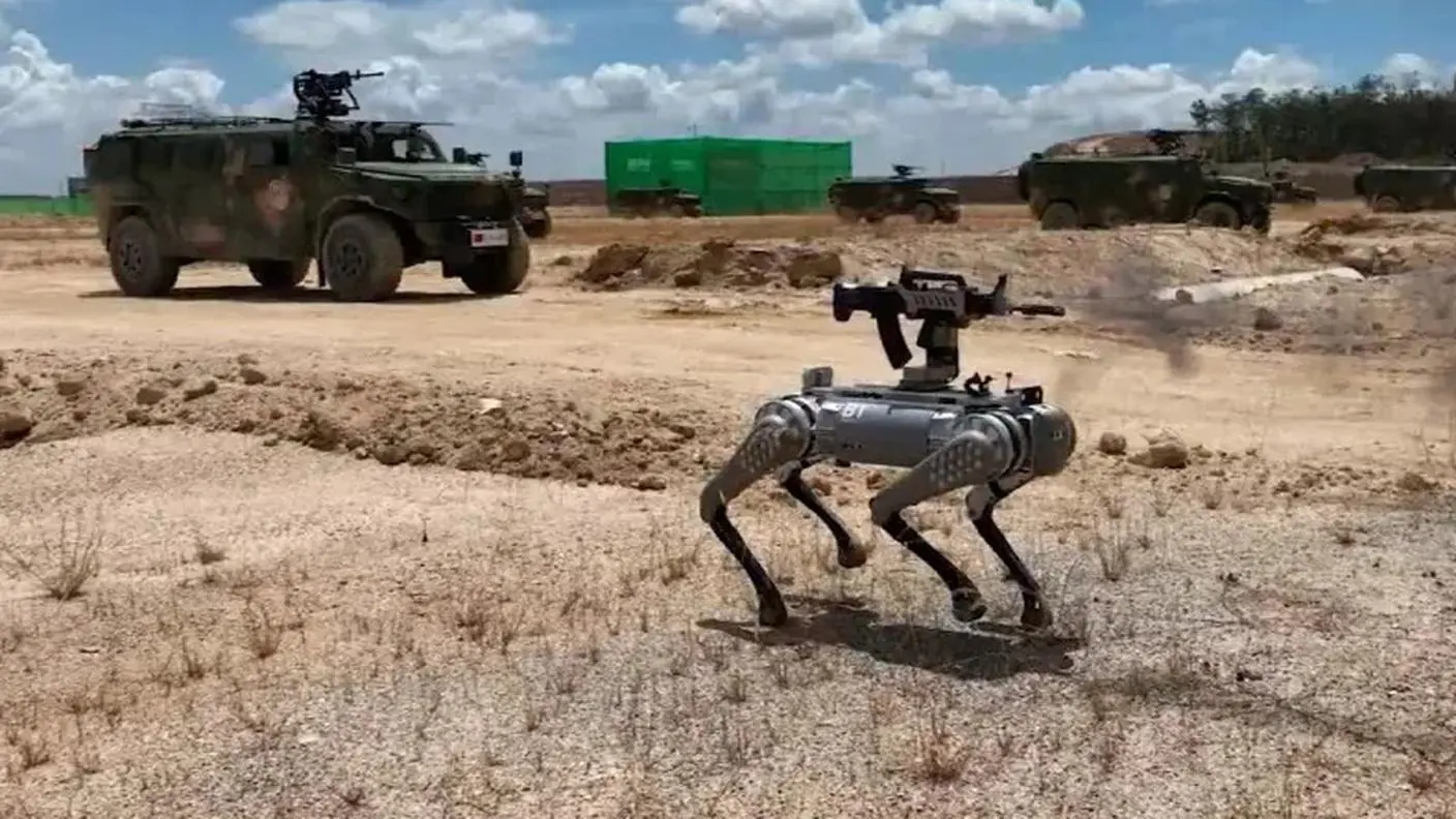 Immagine tratta da un video Rsi