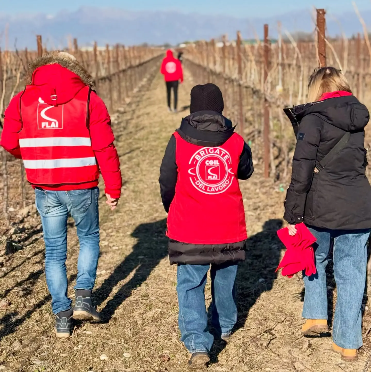 Al via le brigate del lavoro contro lo sfruttamento\n