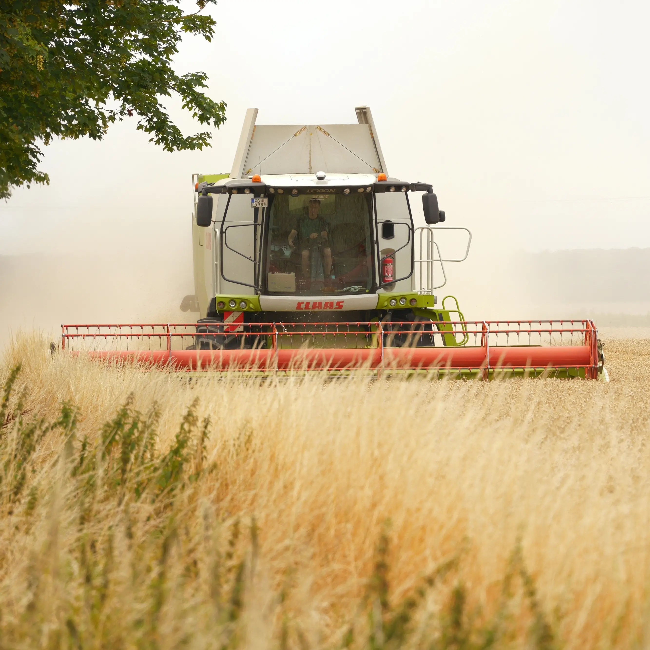 La questione agricola al centro dell’Alleanza clima lavoro