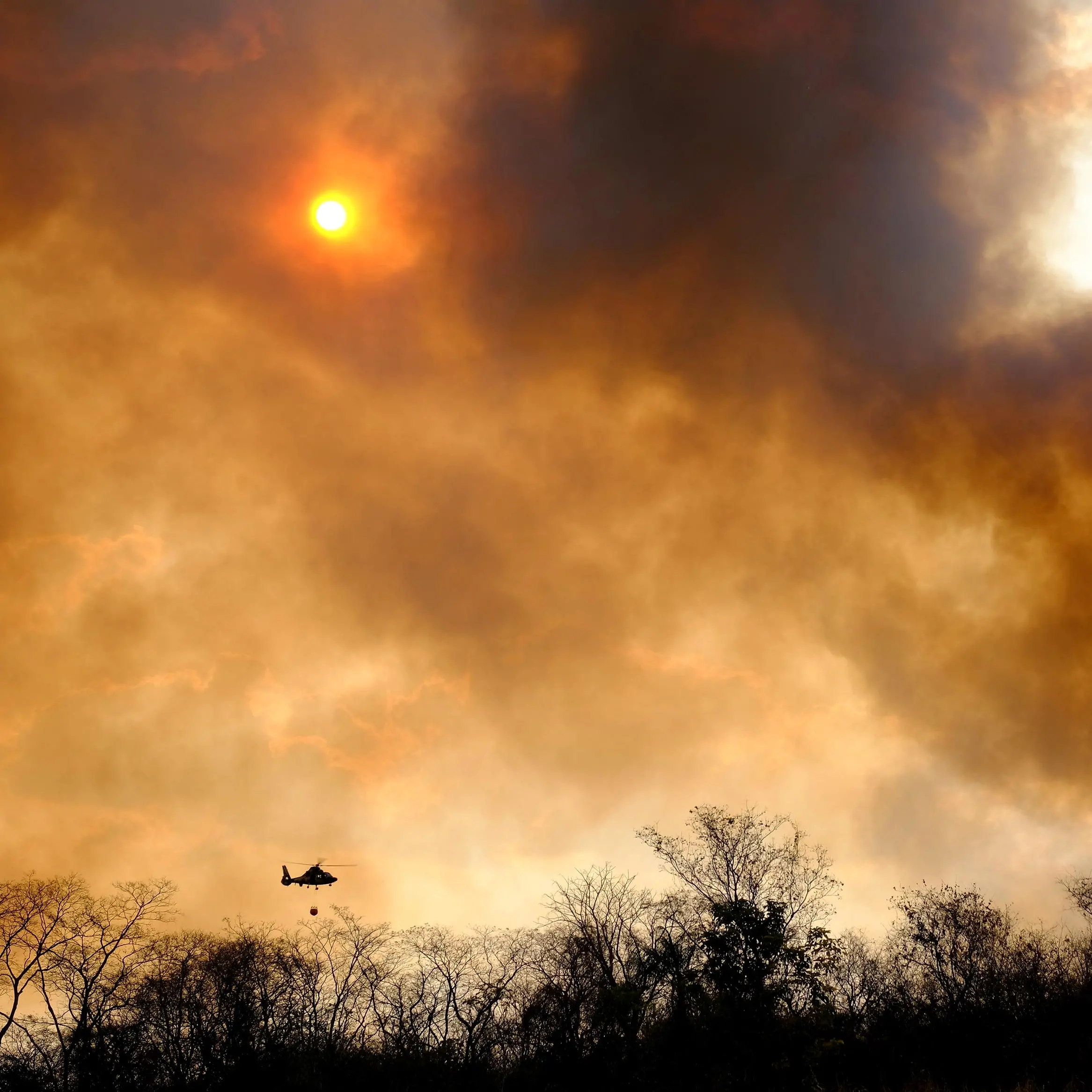 Puglia in fiamme. Flai: \"Il governo non ci lasci soli\"