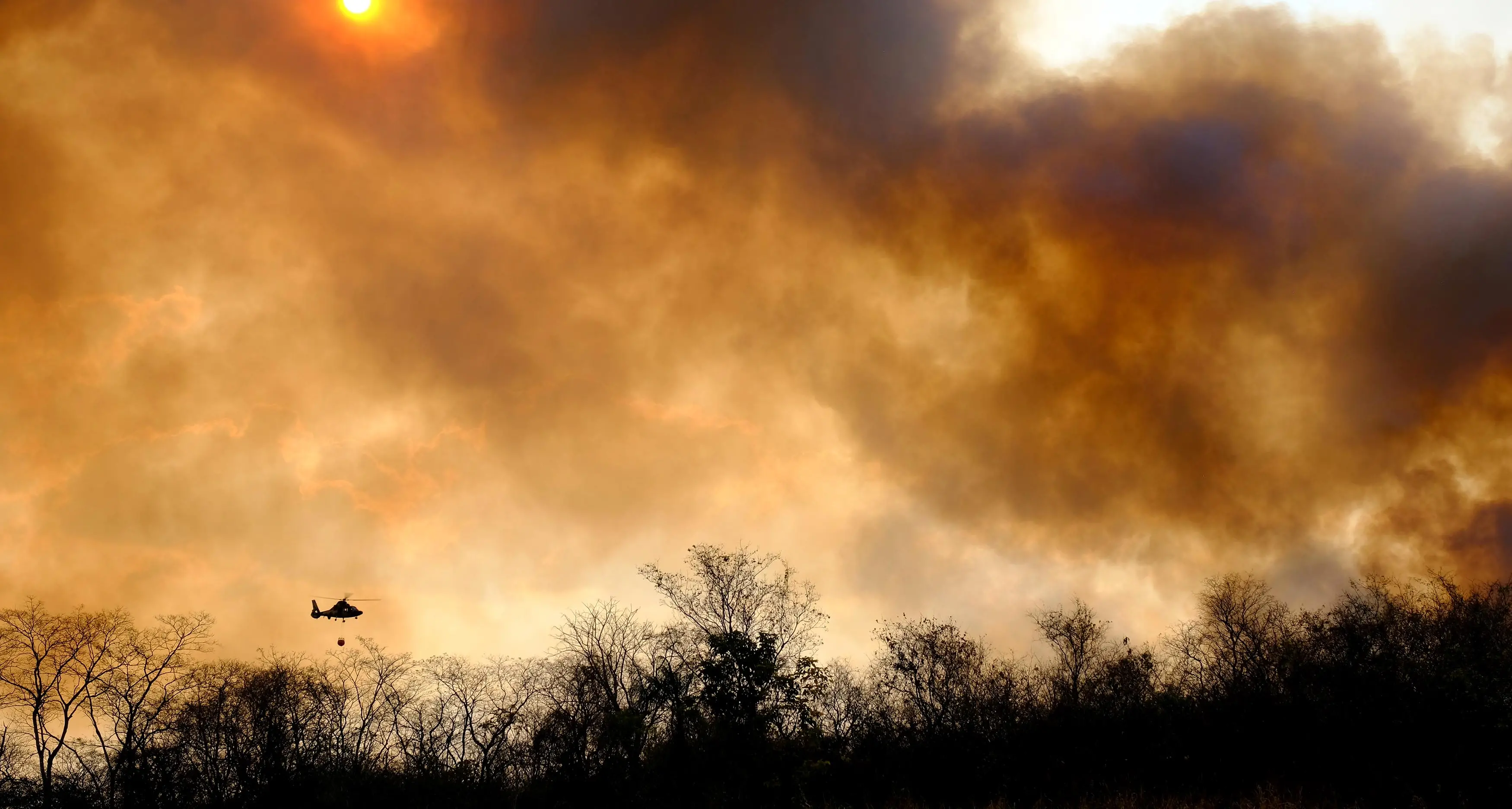 Puglia in fiamme. Flai: \"Il governo non ci lasci soli\"