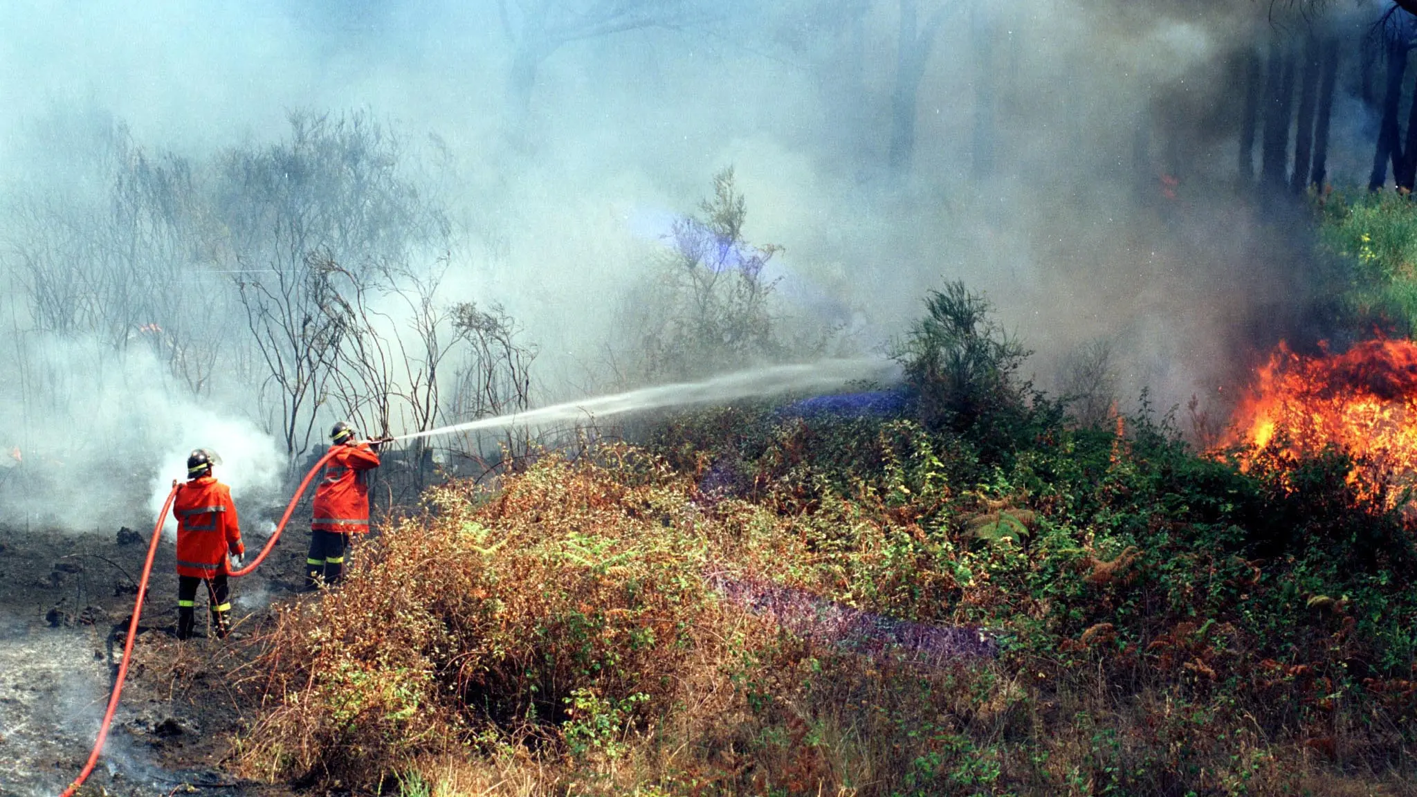 Incendi, Flai Cgil: “Prevenzione per salvaguardare il territorio”