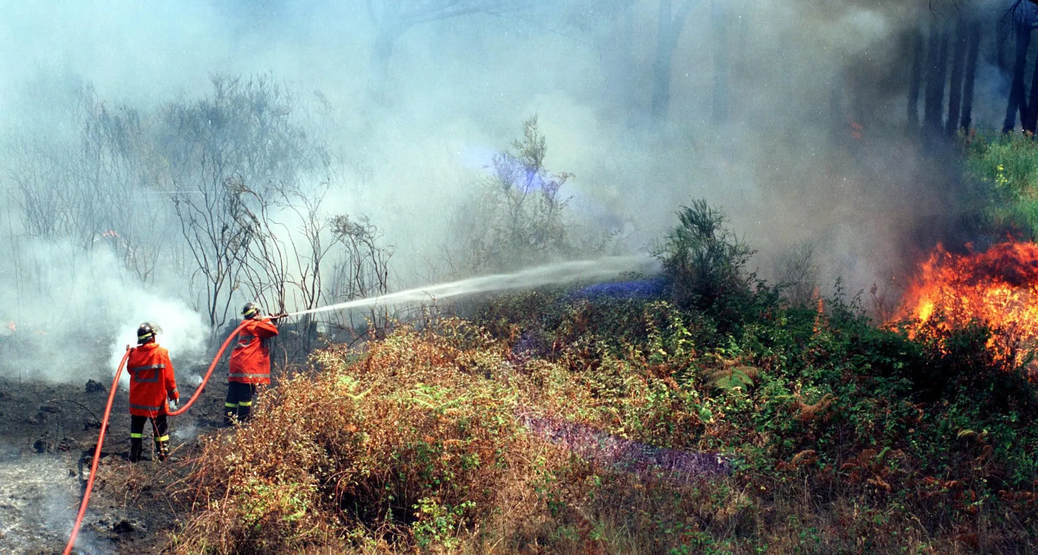 Incendi, Flai Cgil: “Prevenzione per salvaguardare il territorio”