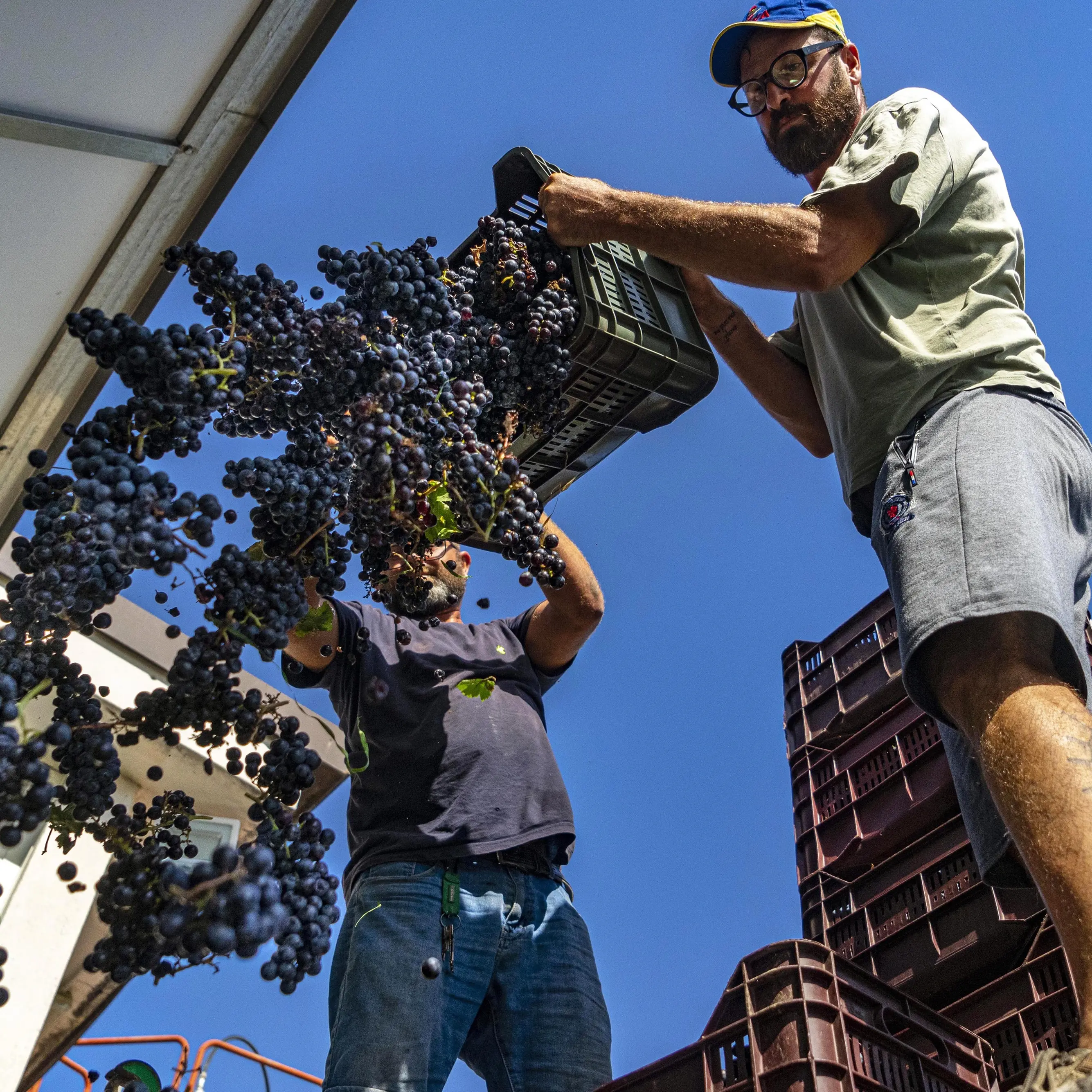 Dalla Toscana una spallata al caporalato