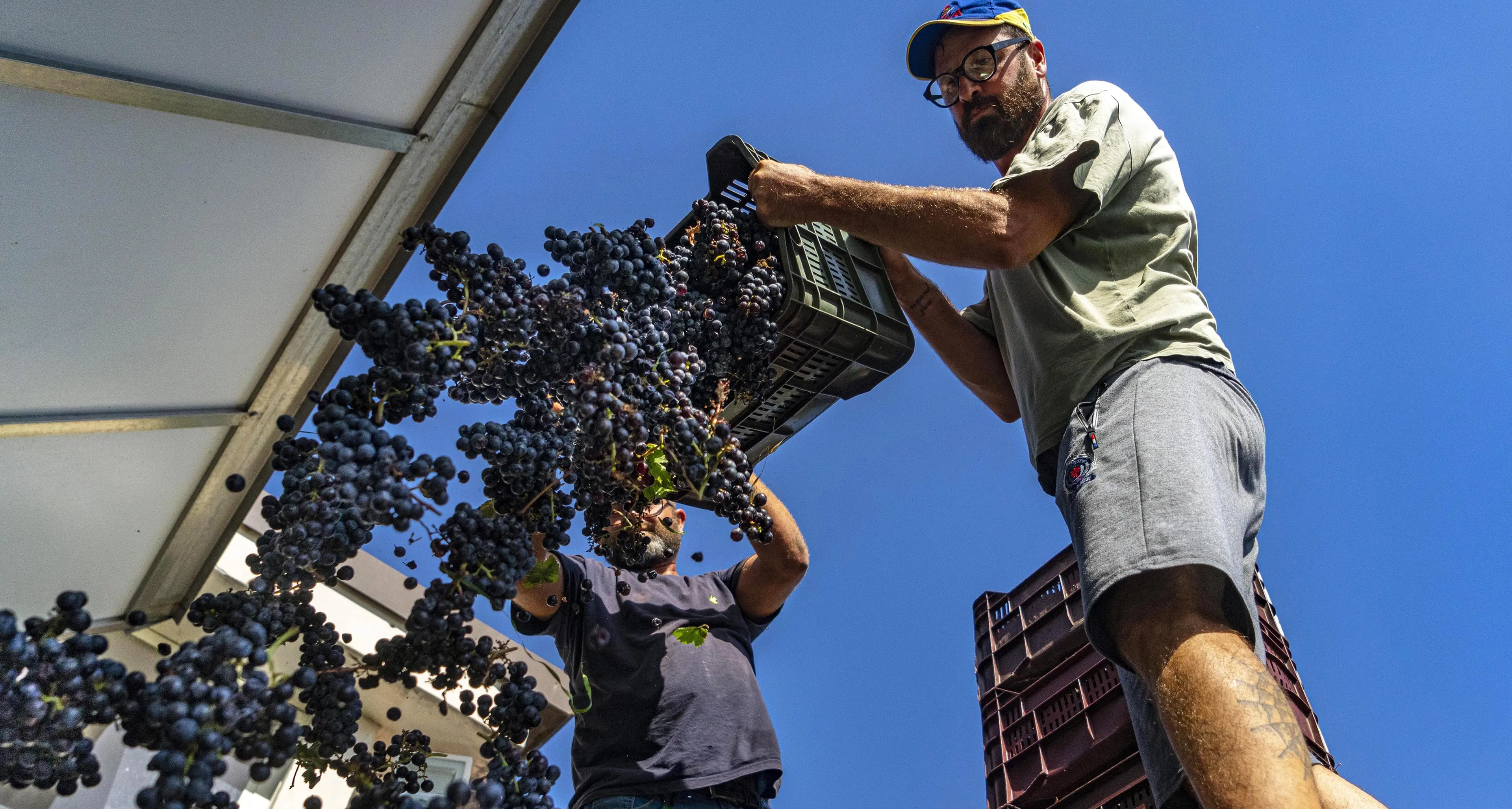 Dalla Toscana una spallata al caporalato