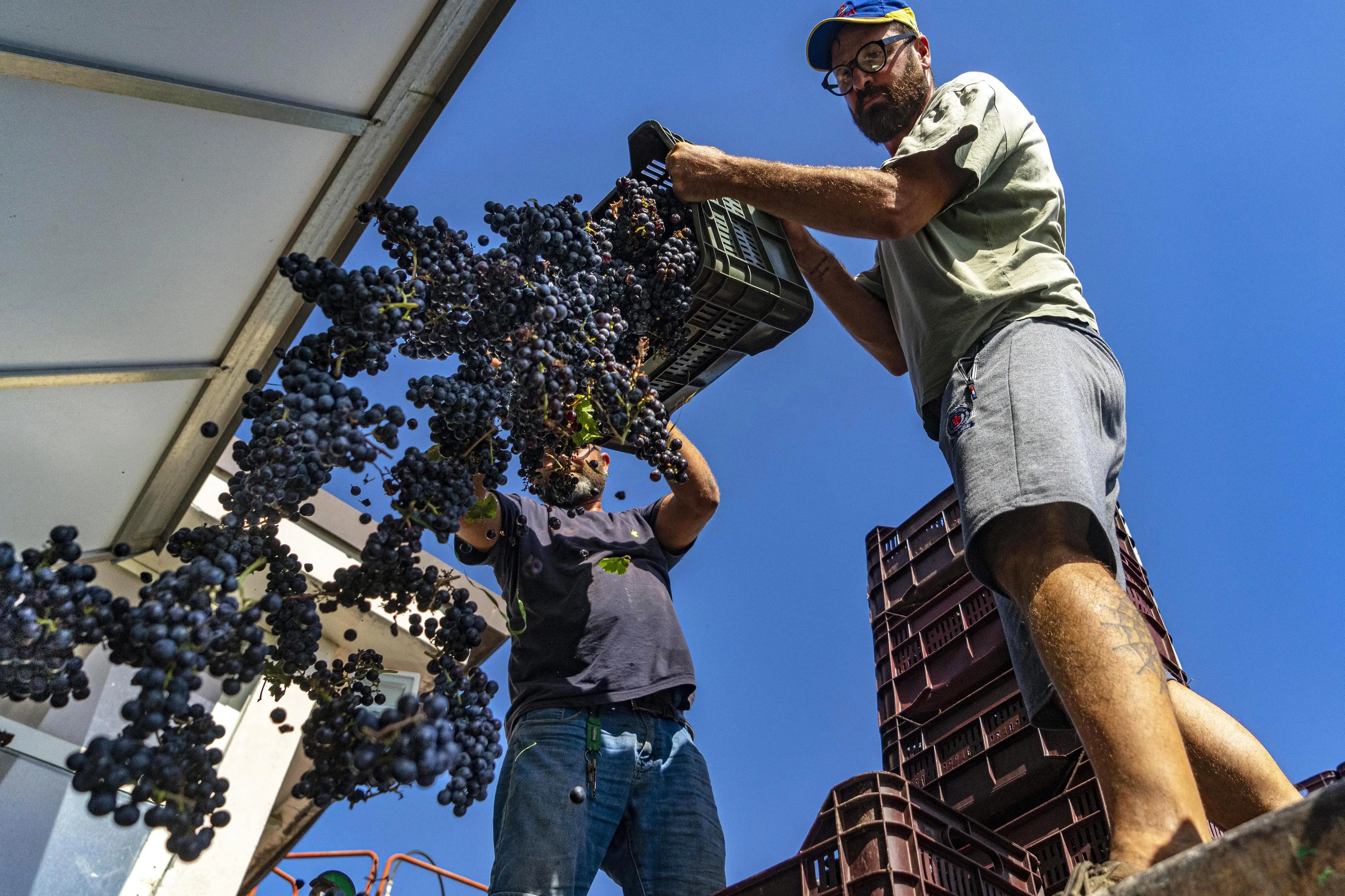 Dalla Toscana una spallata al caporalato