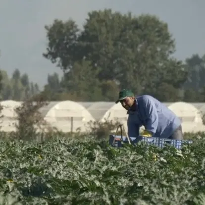 Salernitano, uomo muore durante lavori di pulizia di un terreno