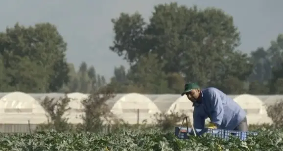 Salernitano, uomo muore durante lavori di pulizia di un terreno