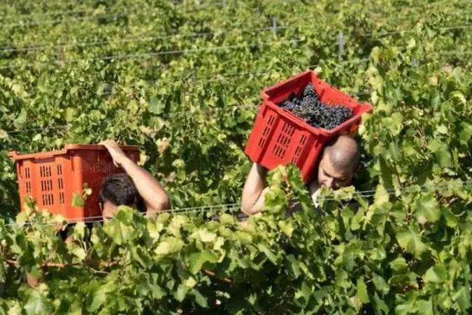 Malore nei campi, muore lavoratore agricolo nel Ragusano