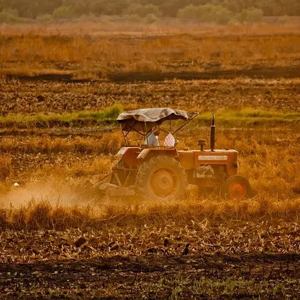 Incidente nel Padovano, muore operaio agricolo