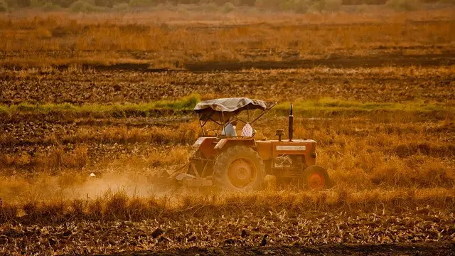 Incidente nel Padovano, muore operaio agricolo
