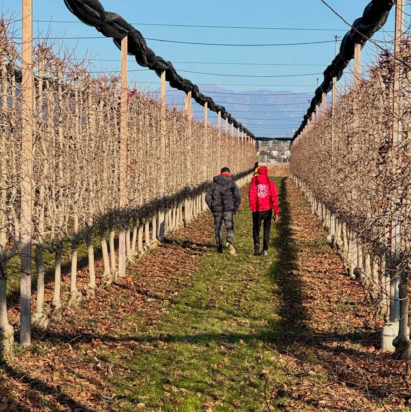 In Piemonte 5 giorni di sindacato di strada