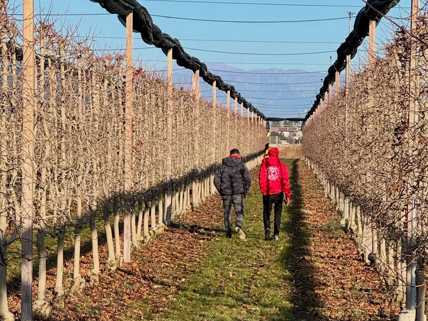 In Piemonte cinque giorni di sindacato di strada