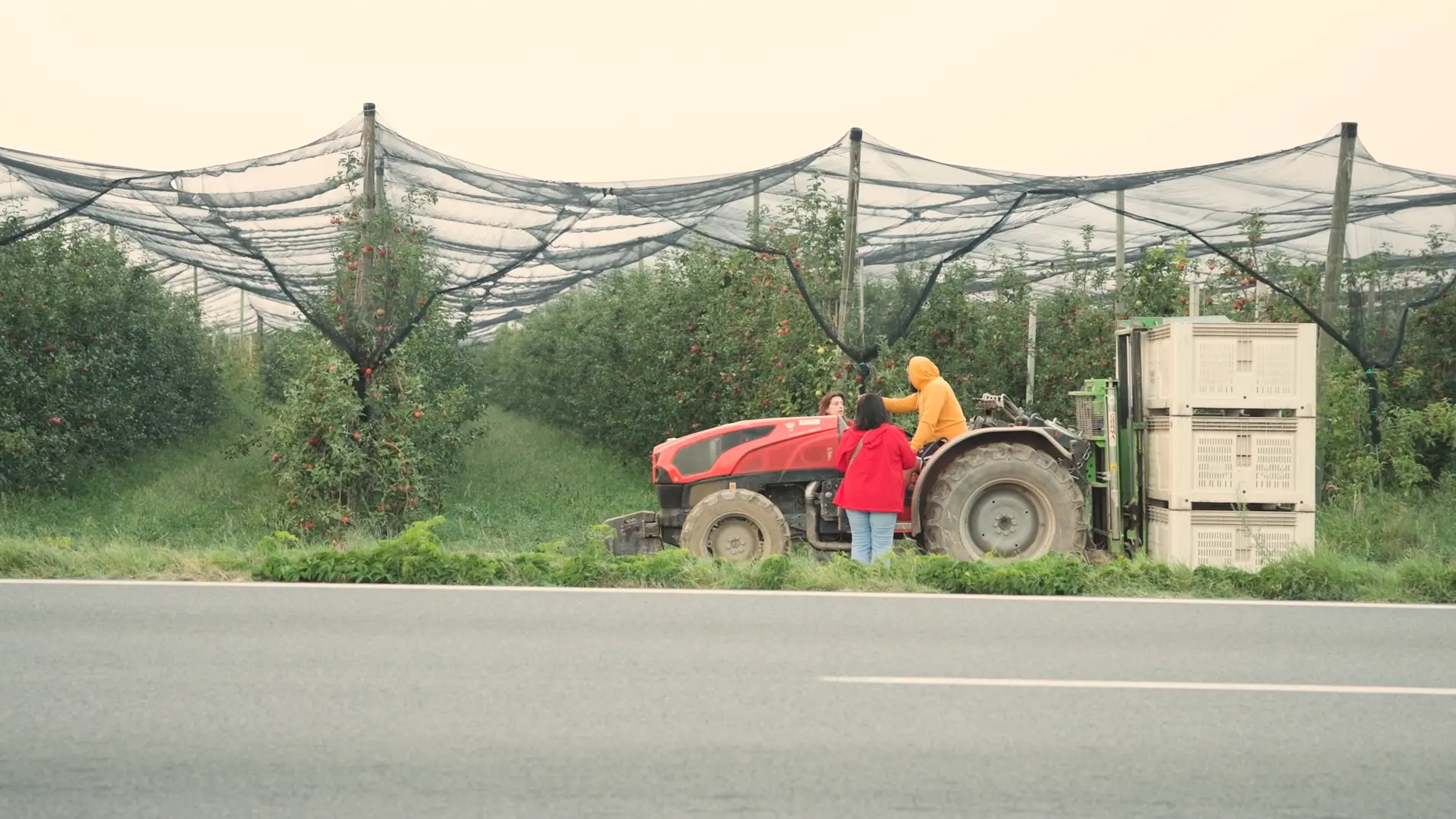 Piemonte sindacato di strada