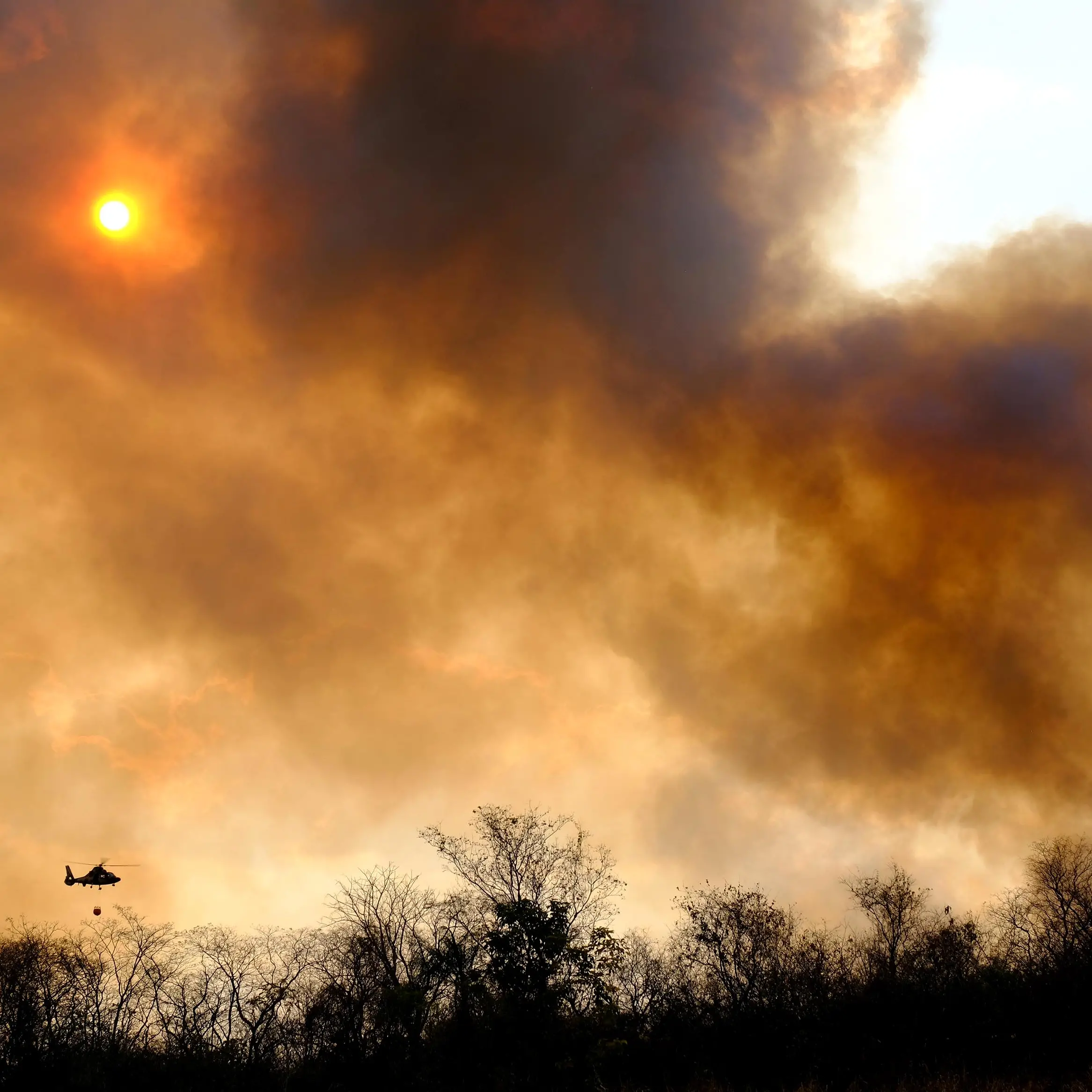 Forestazione e antincendio, Flai Cgil Puglia: “Stabilizzazione, risorse e prevenzione strutturale”