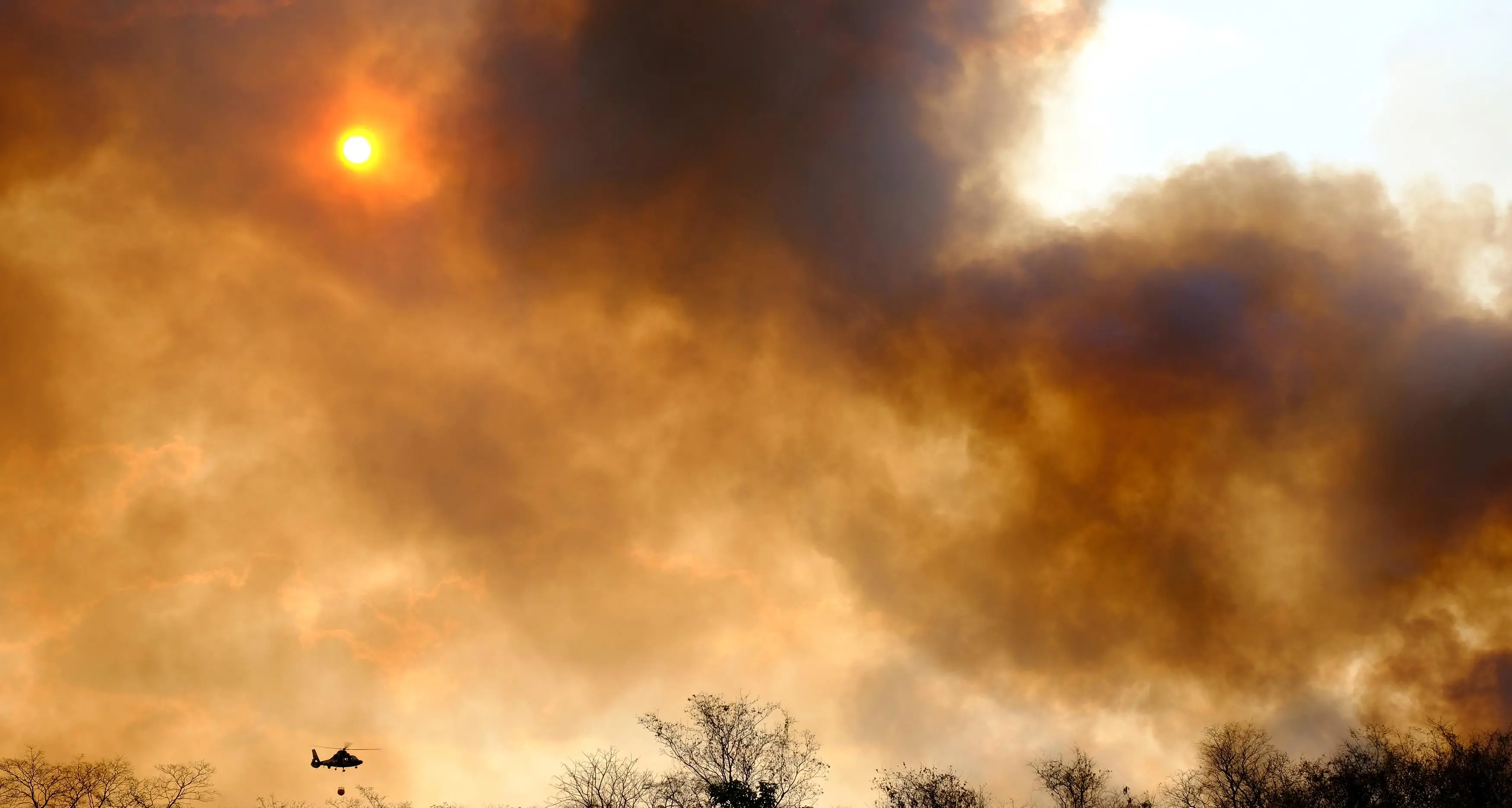 Forestazione e antincendio, Flai Cgil Puglia: “Stabilizzazione, risorse e prevenzione strutturale”