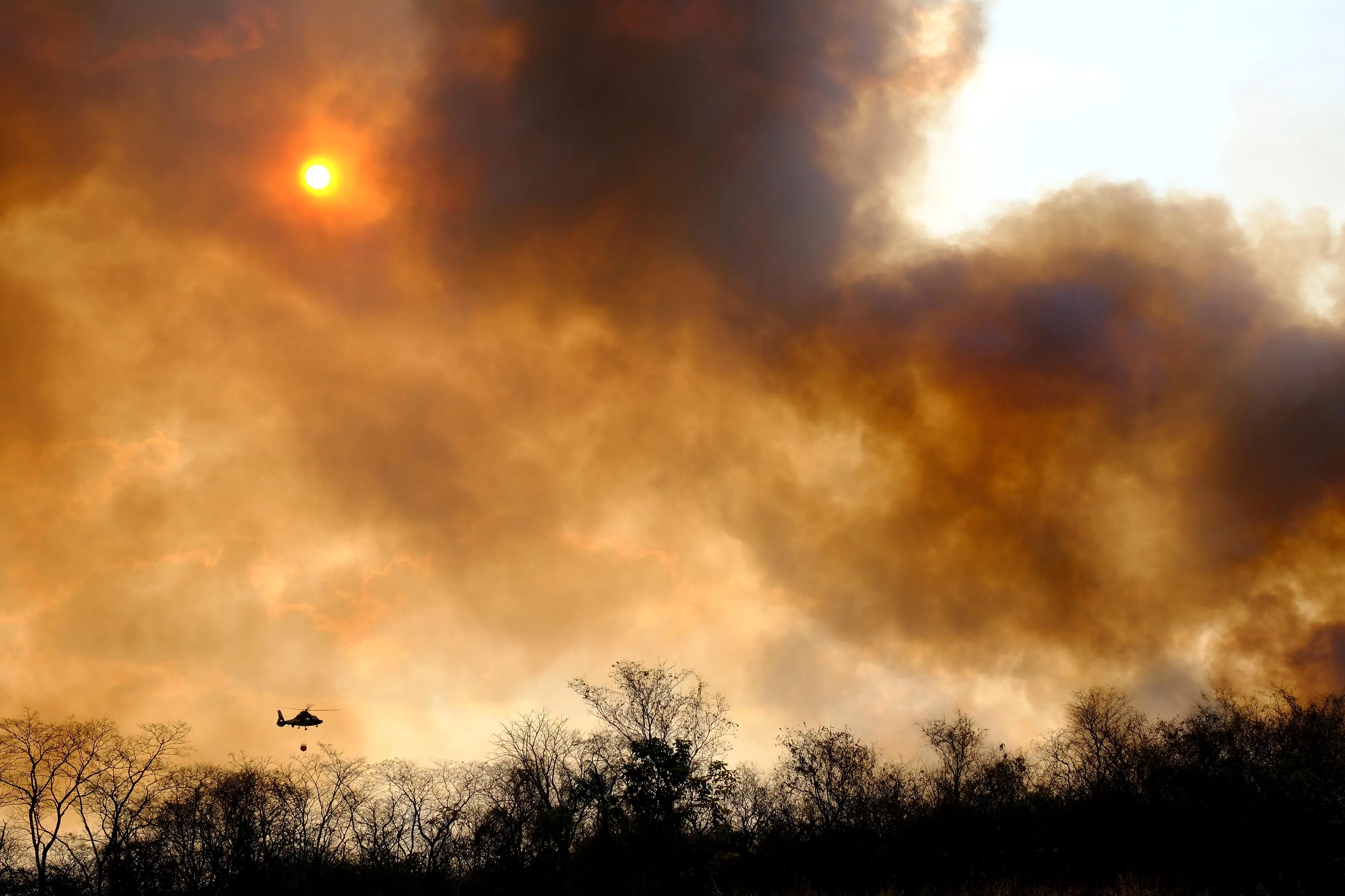 Forestazione e antincendio, Flai Cgil Puglia: “Stabilizzazione, risorse e prevenzione strutturale”