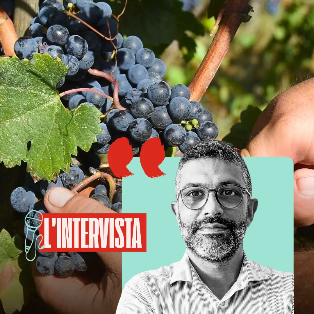 “La priorità? Lo sviluppo sostenibile in agricoltura”