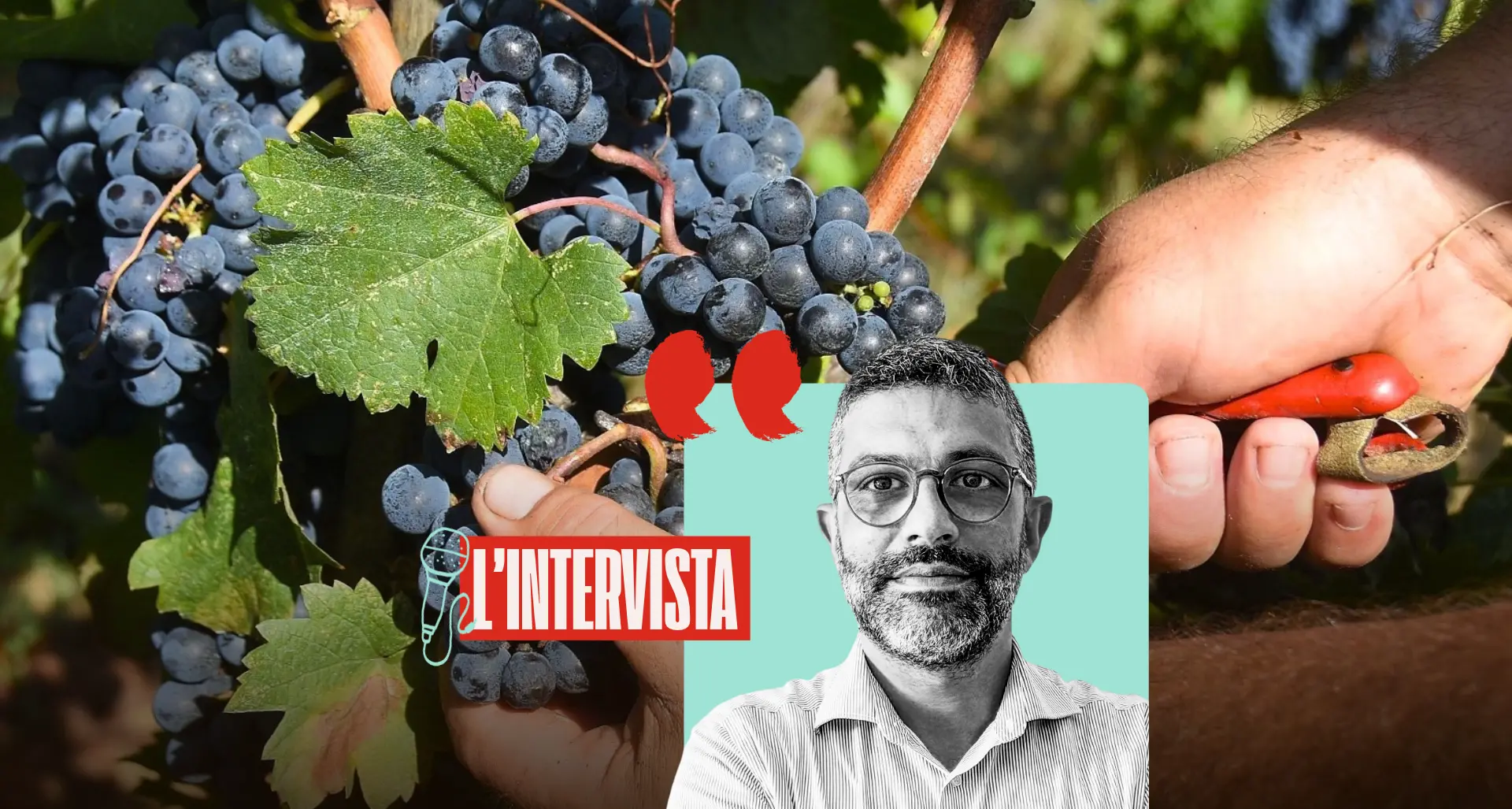 “La priorità? Lo sviluppo sostenibile in agricoltura”