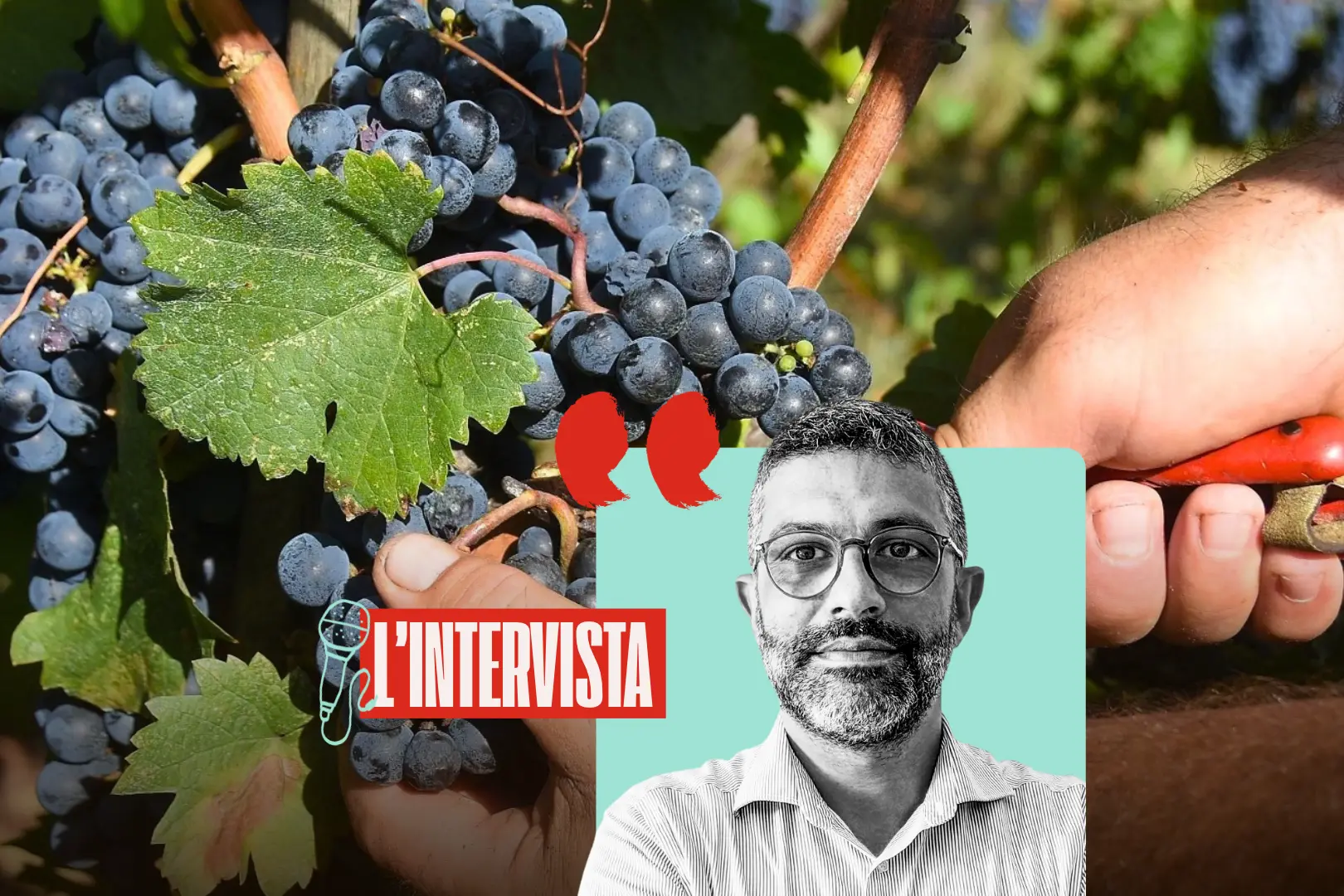 “La priorità? Lo sviluppo sostenibile in agricoltura”