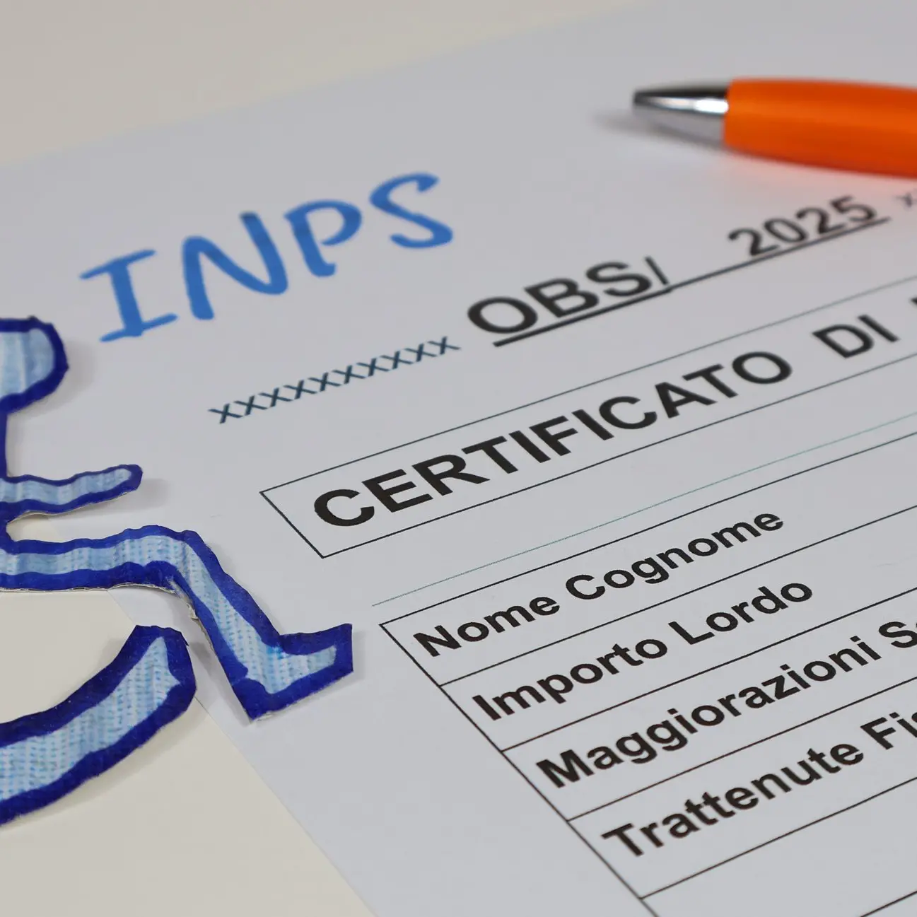 Decreto Pa, tagli alla riforma disabilità
