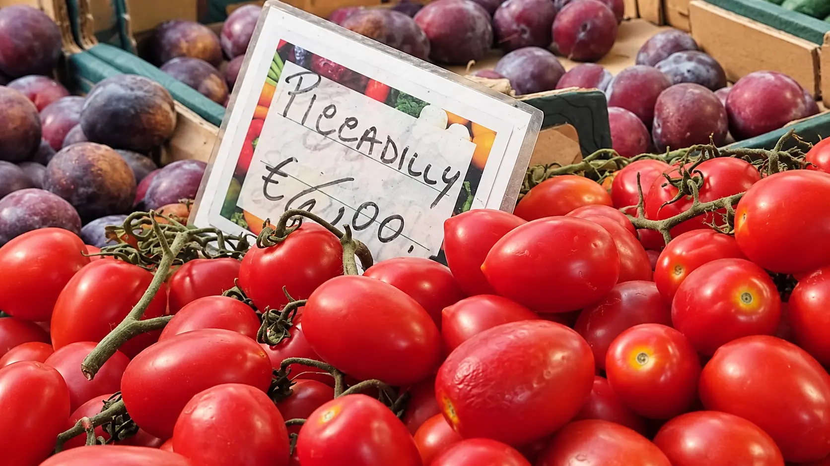 Alleanza contro la povert\\u00E0