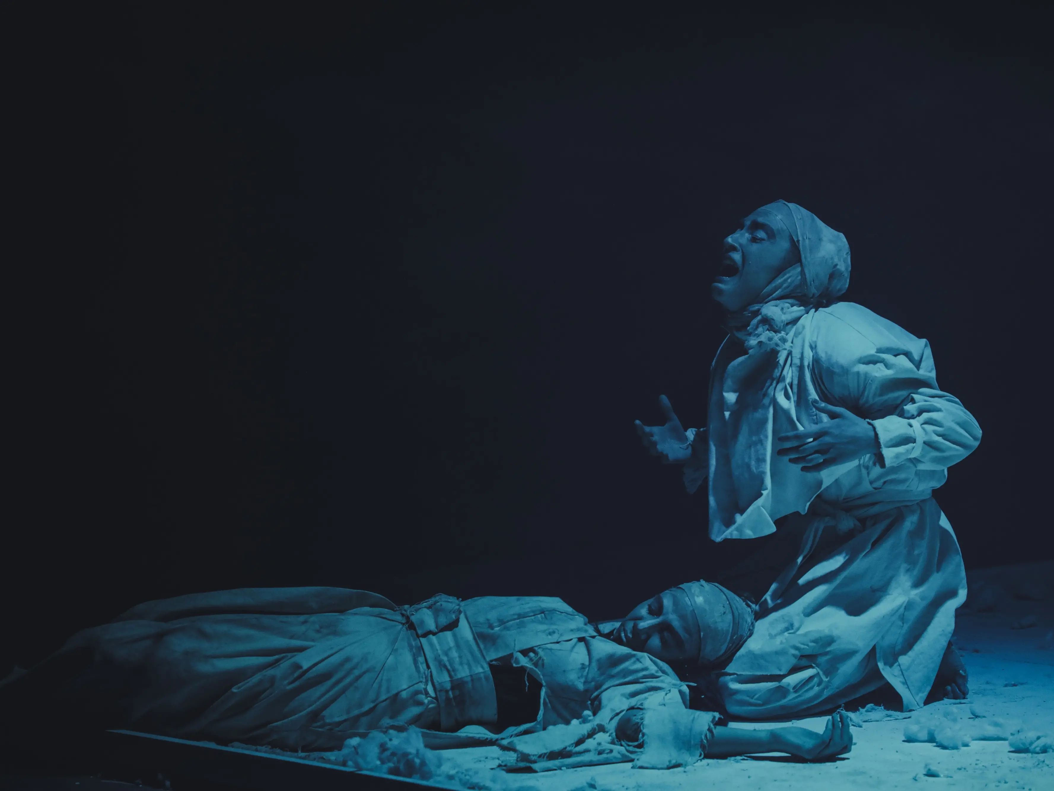 “Palestinesi sono i tuoi occhi”, il reading teatrale globale 