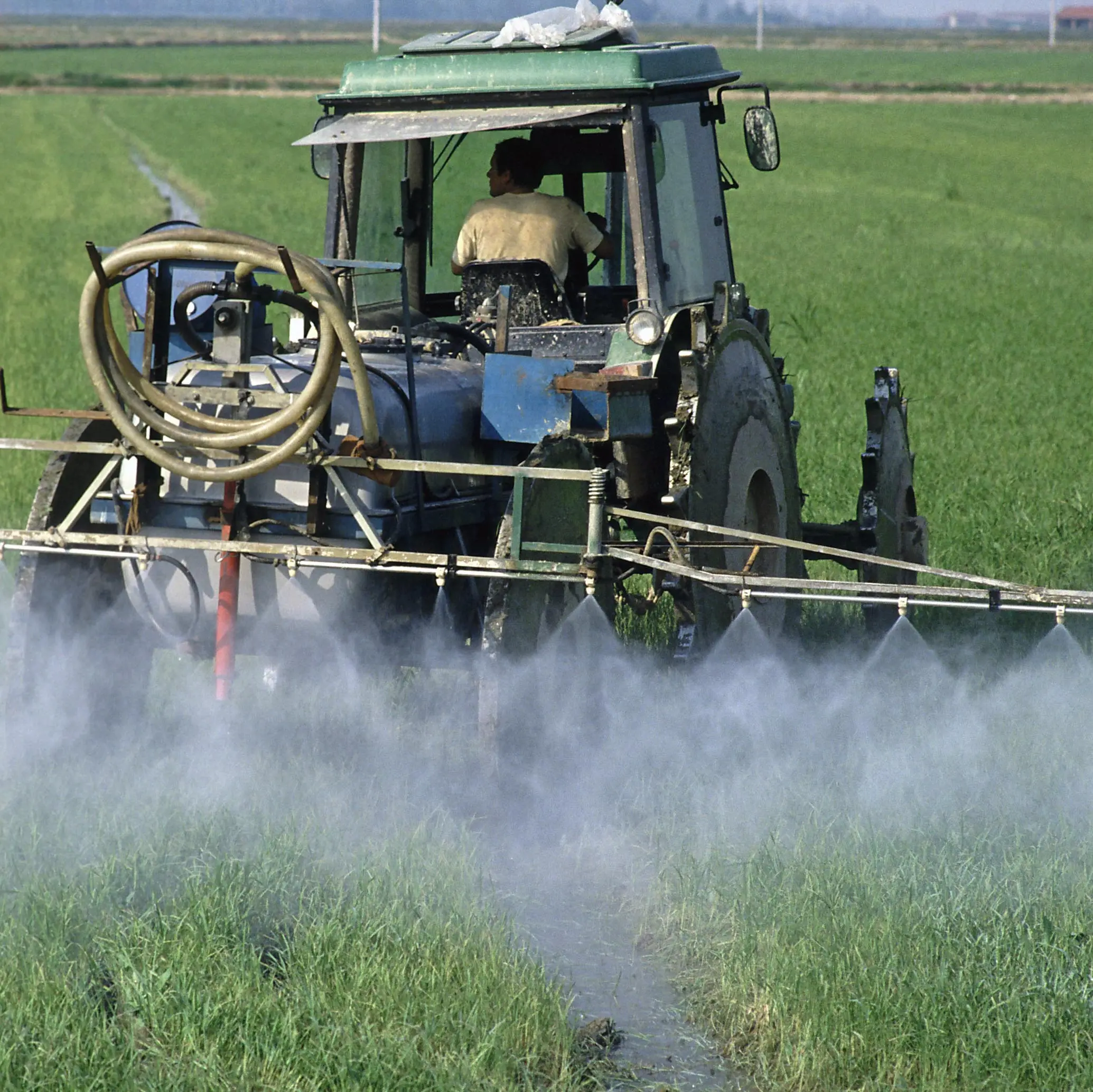 Pesticidi e biocidi, l’Europa mette a rischio la nostra salute