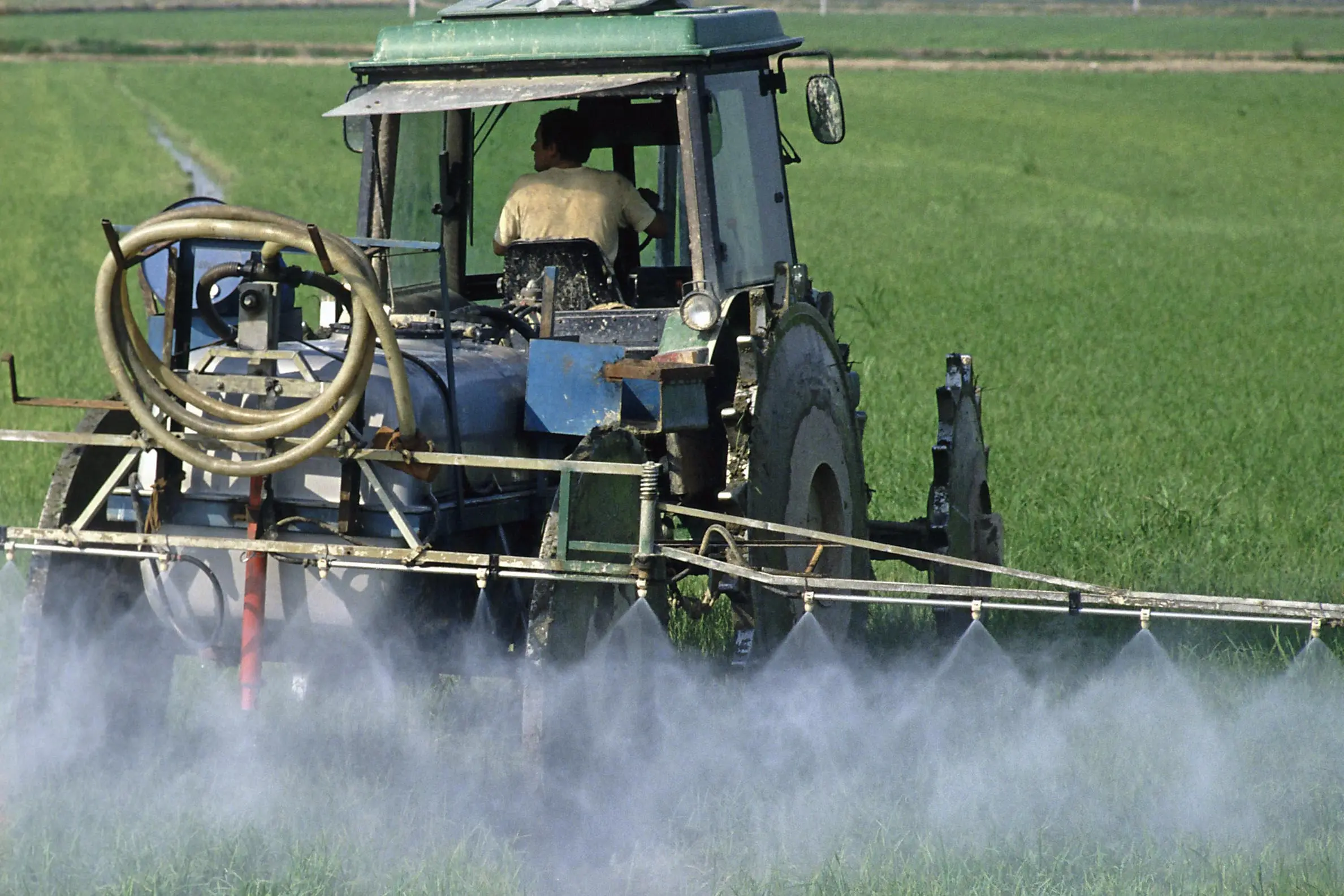 Pesticidi e biocidi, l’Europa mette a rischio la nostra salute