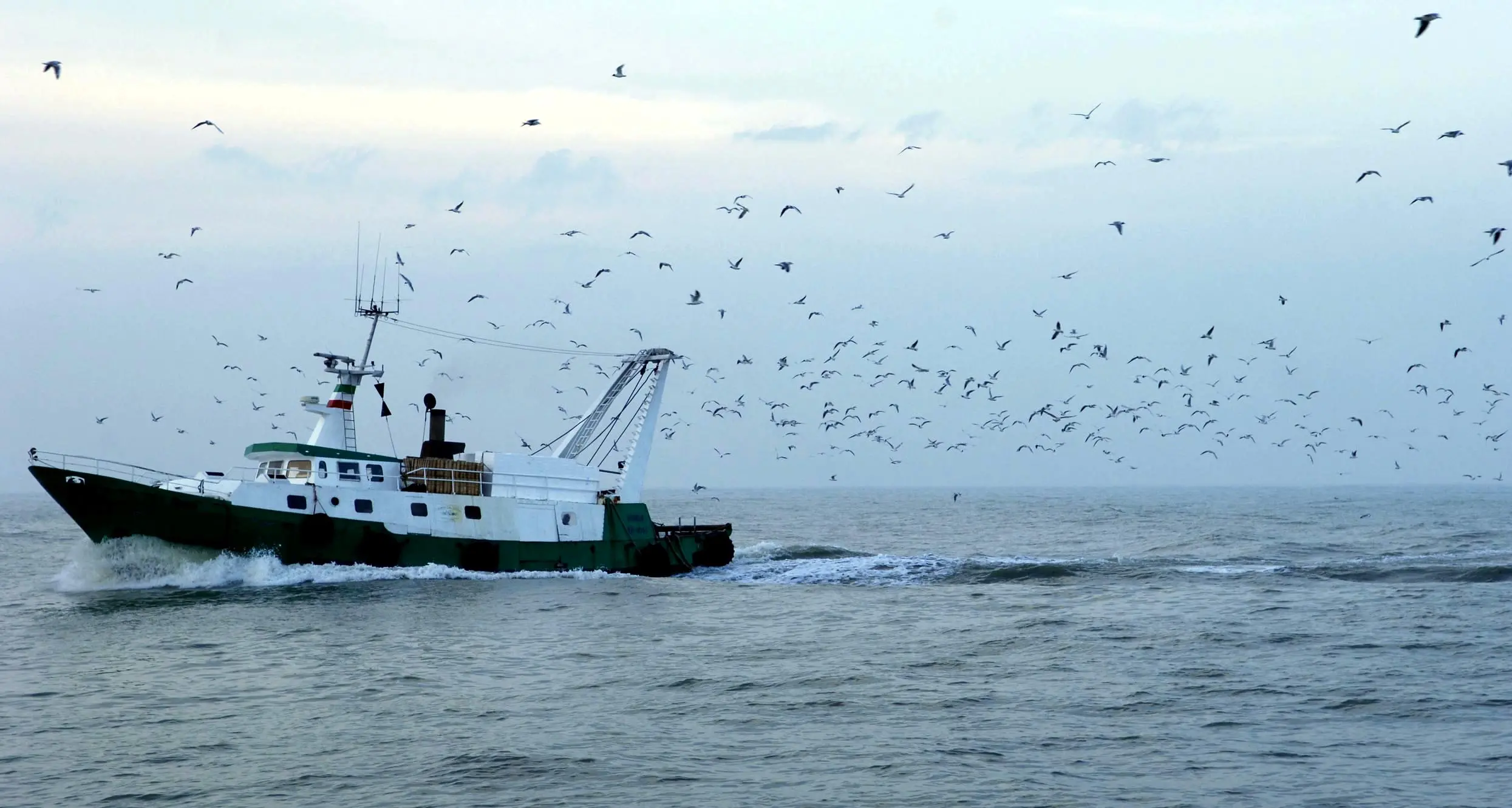 Pesca, Flai Cgil: bene i 10 milioni ma servono tutele per i lavoratori