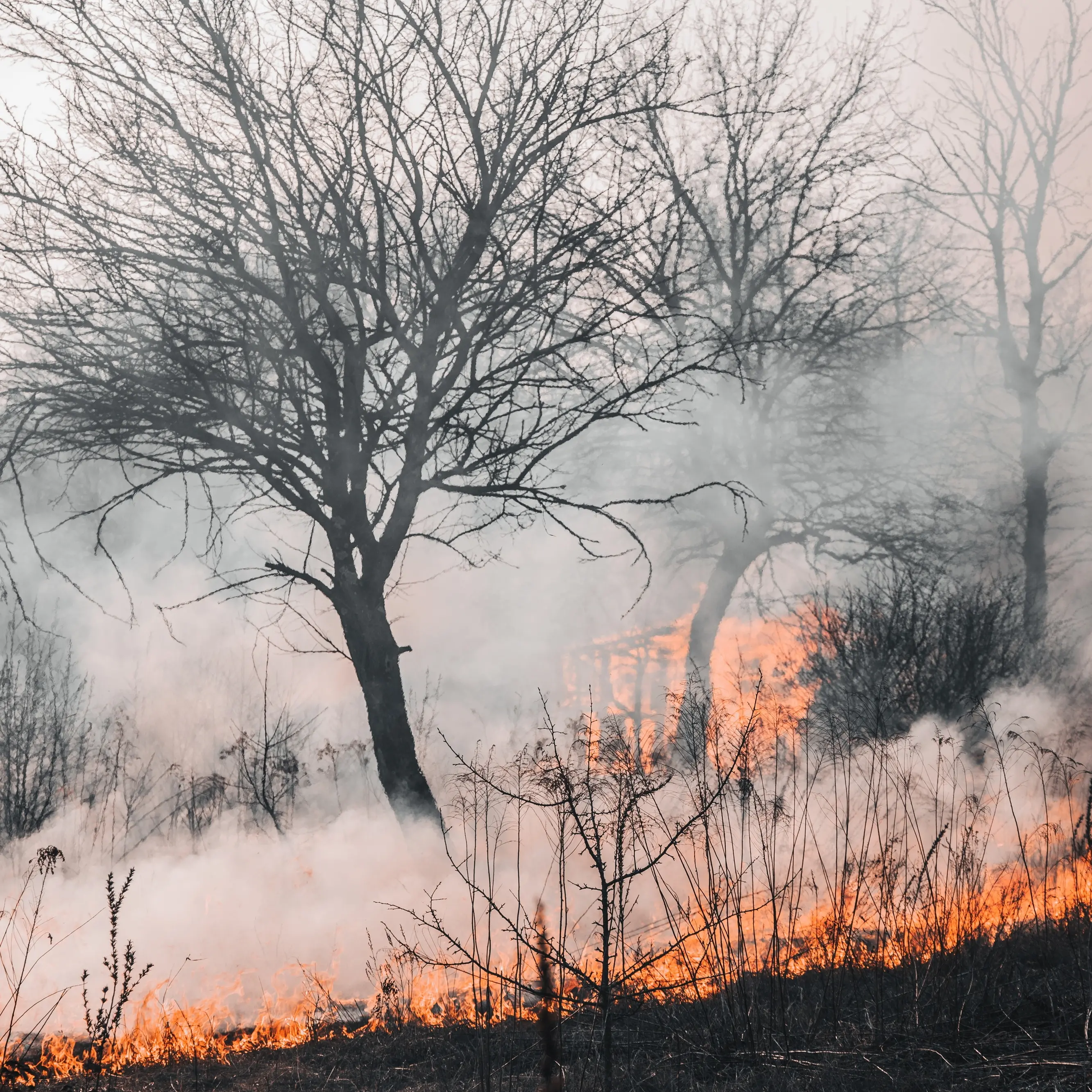 In Ogliastra muore operaio antincendio della Forestas