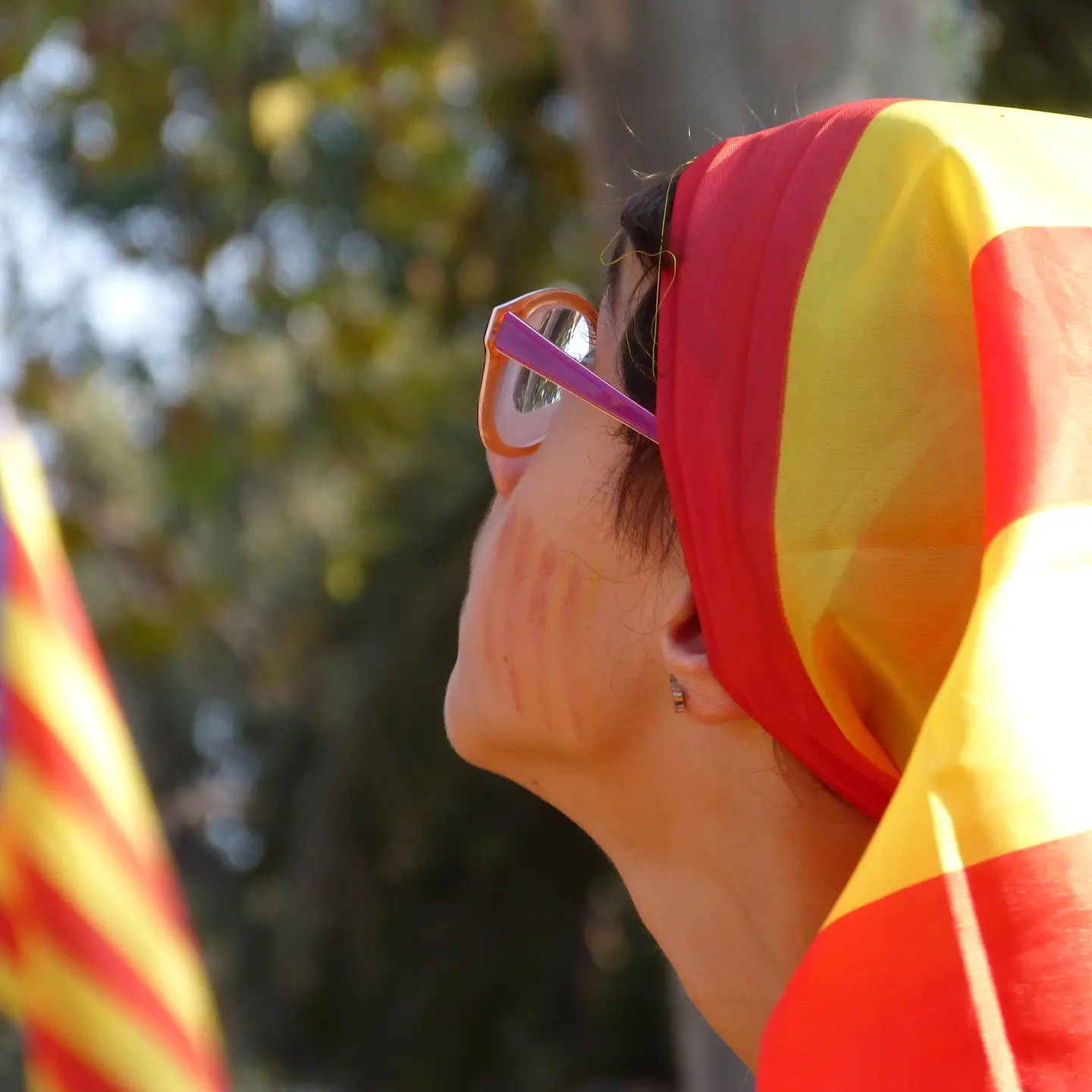 Catalogna, sull'indipendenza decida il referendum