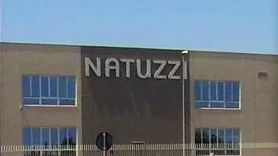 www.natuzzi.com
