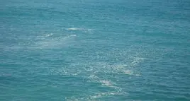 Schiume gialle in mare: Cgil Livorno, come mai nessuno segnala le violazioni?