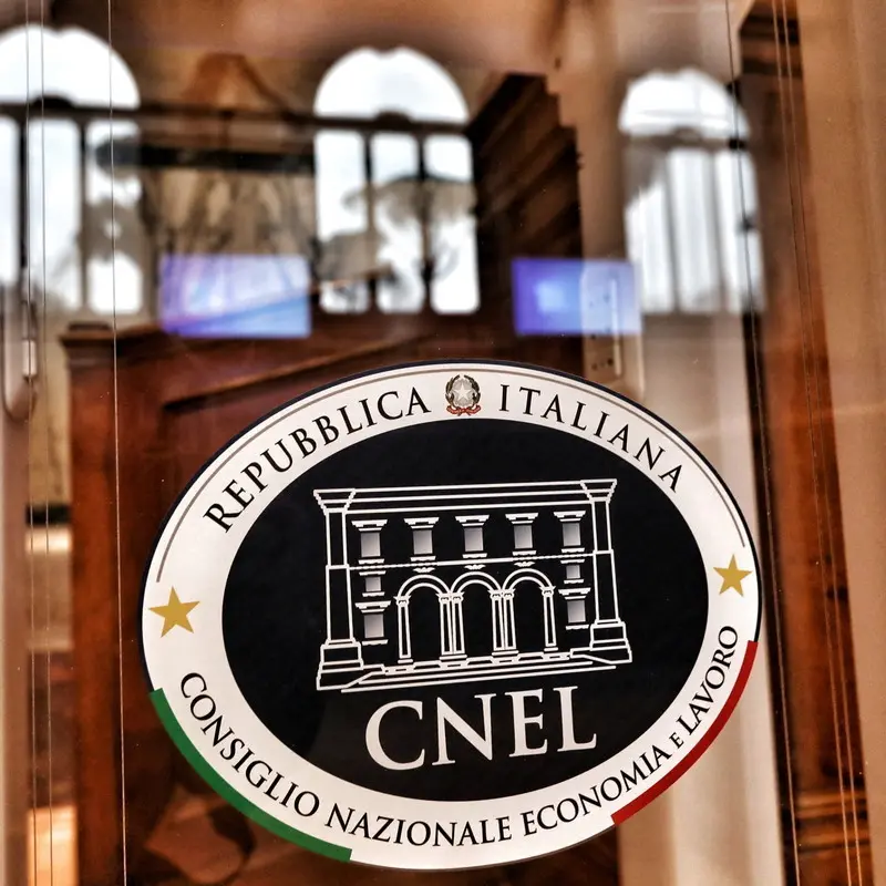 Salario minimo, il Cnel «esagera»