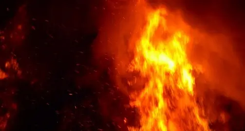 Incendi Fiumicino: Crogi (Flai Cgil), basta accuse ai forestali