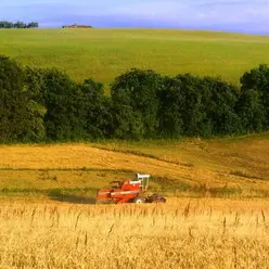 Veneto Agricoltura, in 85 senza stipendio