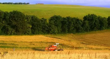 Veneto Agricoltura, in 85 senza stipendio