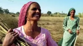 India: Sewa e la rivincita delle donne