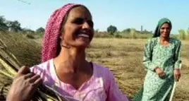 India: Sewa e la rivincita delle donne