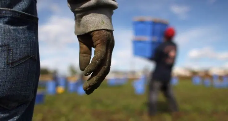Calabria: maxi operazione contro il caporalato
