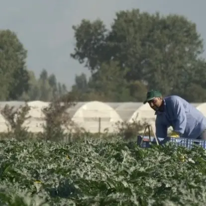 Ricerca, tecnologie e formazione per l’agricoltura, gli agricoltori, i consumatori