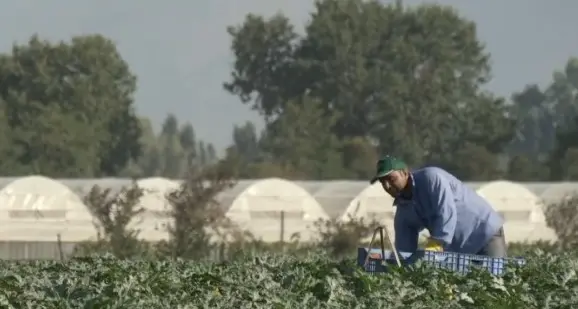 Ricerca, tecnologie e formazione per l’agricoltura, gli agricoltori, i consumatori