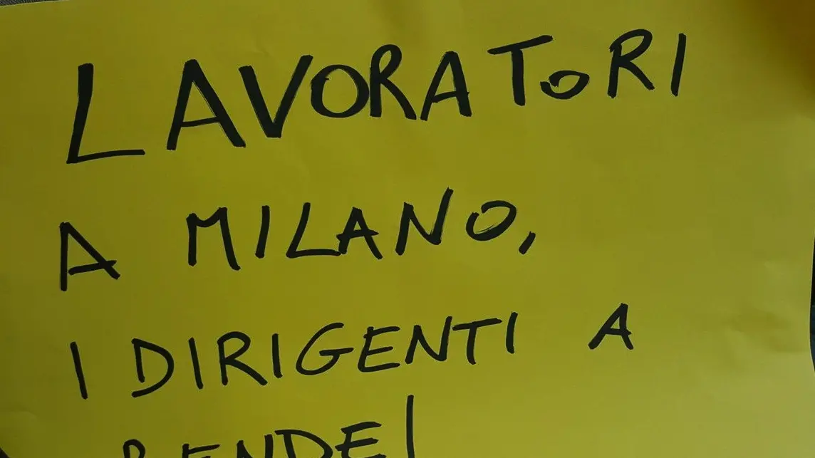 fotografia di tatoille, da Twitter