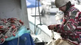 Pesca, arrivano le risorse per la cassa in deroga