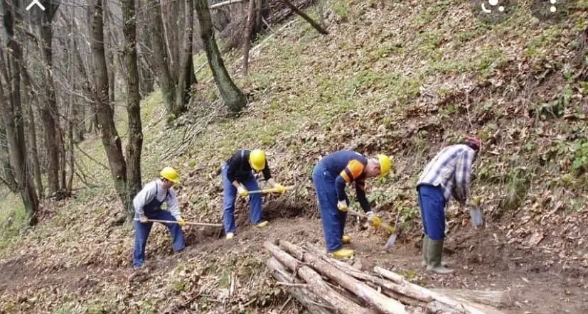 I forestali siciliani in lotta per difendere ambiente e lavoro
