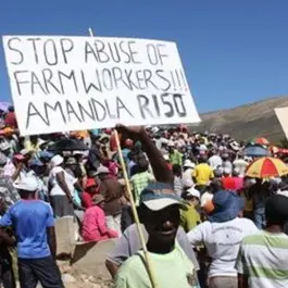 Sudafrica, proiettili di gomma sui braccianti in sciopero