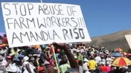 Sudafrica, proiettili sui braccianti in sciopero (foto dal sito West Cape News)