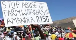 Sudafrica, proiettili di gomma sui braccianti in sciopero
