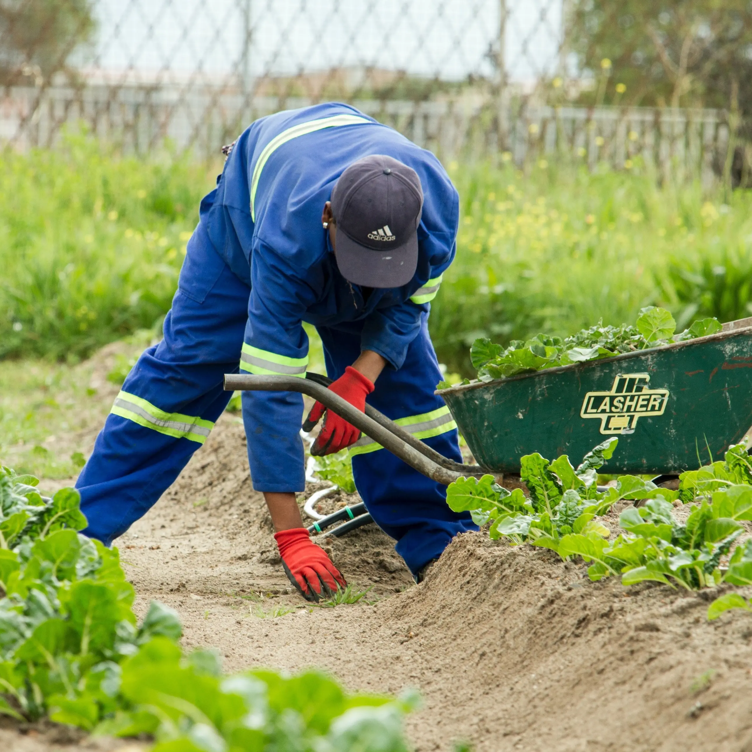 I lavoratori agricoli protestano al Senato il 31 marzo